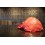 Joue de Boeuf 1kg