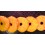 Donuts de volaille de 1kg