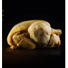 Poulet fermier