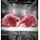 Entrecote Simmental origine Allemagne 4 x 250 g